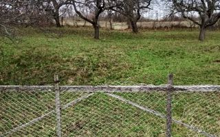 Teren 3966 mp-2 deschideri-curent-investitie-Budacu de Jos - Poză 2