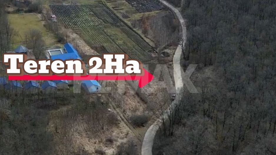 Pădure de vânzare - 2 Ha pentru Agroturism - Poză 3