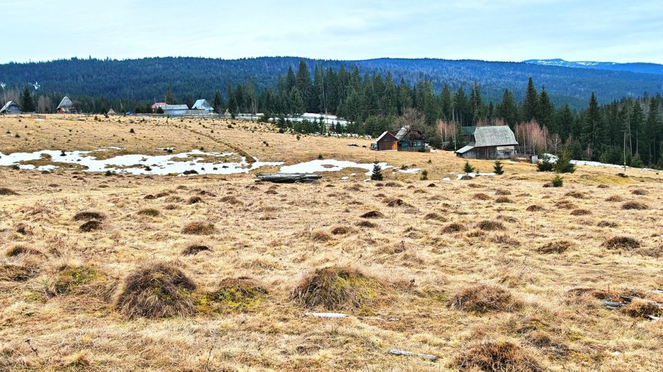 TEREN CU VEDERE LA LAC, 5959 MP Statiunea Turistica Montana BELIS-CLUJ - Poză 3