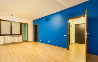 De ce acest preț ? Citește descrierea: