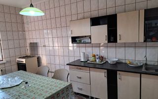 OFERTA in Băcia. Hunedoara ! Proprietate 2 case + Cabană - Poză 11