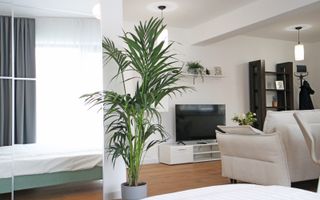 Studio de Lux *52mp * / Aviației-Herastrau - Poză 5