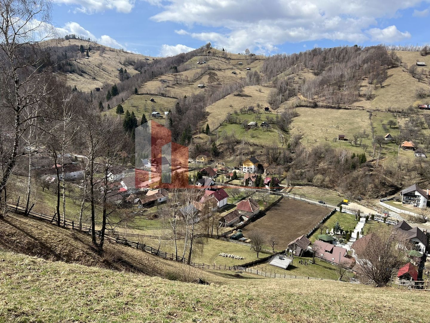Teren Intravilan 9.194 mp, zona Bran - Simon - Poză 4