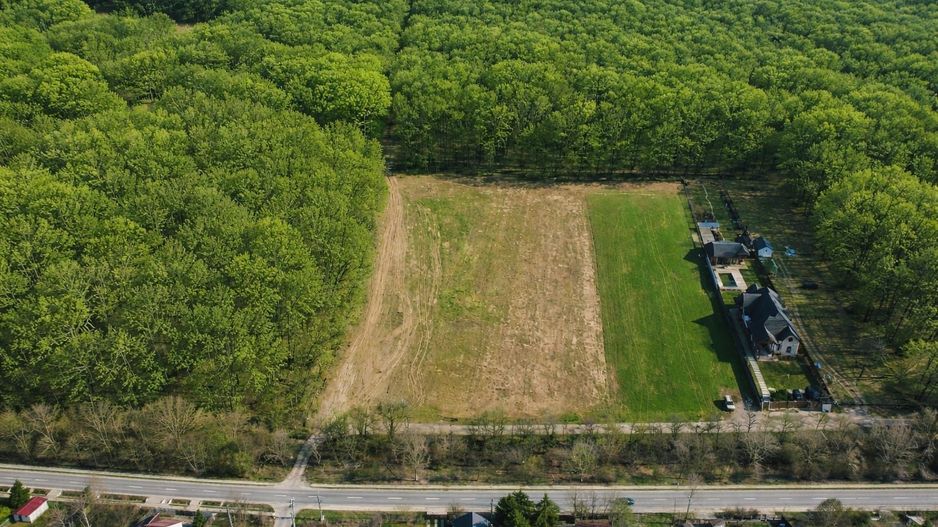 EXCLUSIVITATE-PROIECT UNIC PADUREA SNAGOV! Loturi 400-600 m2 ,PUZ - Poză 7