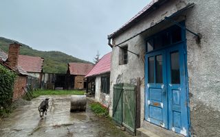 BLACK FRIDAY I Casa 3 camere I 1000 mp Teren I Amnas - Poză 3