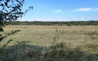 Teren intravilan investitie turism balnear fonduri europene - Poză 3