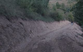 Super ofertă 35000 teren in Muntii Apuseni - Poză 15