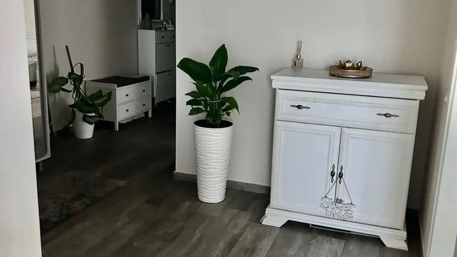 2 camere - Dumbravita str Mures - Poză 3