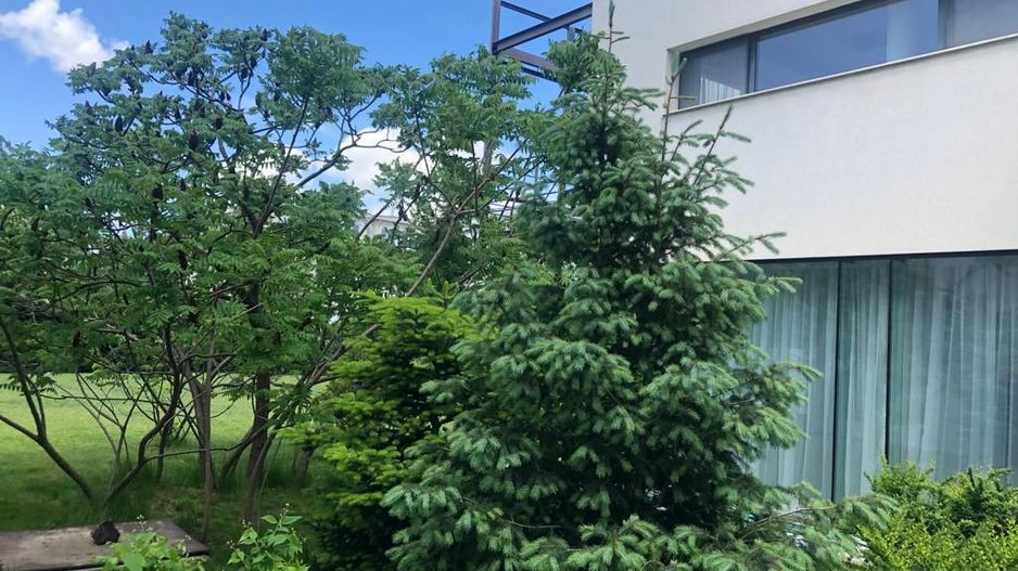 Vilă Individuala | Locație premium | Panouri solare - Poză 8