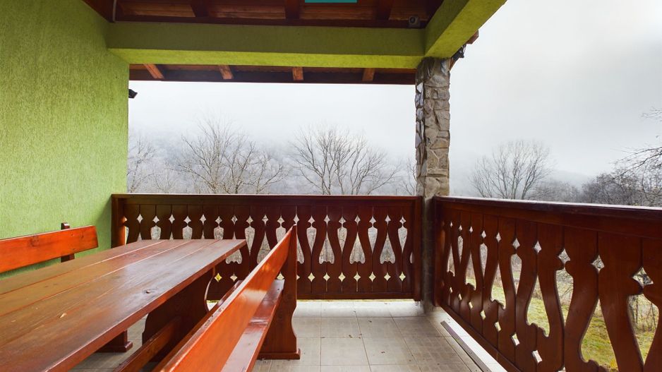 Casă de vacanță în Moneasa - Poză 3