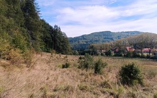 teren in zona Bradet-Sacele - Poză 6