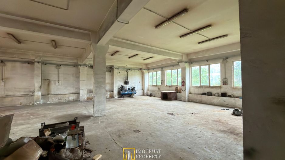 Hală industrială de vânzare – Sebiș, jud. Arad - Poză 8