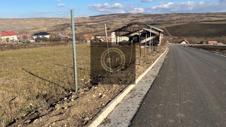 Teren de vanzare in Daia Romana, toate utilitatile la asfalt, 2.314Mp - Poză 2