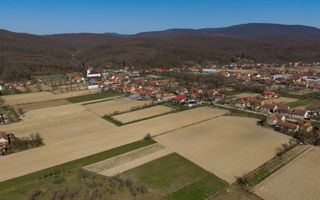 Loc de casă în Odvoș - Conop 3000mp - Poză 15