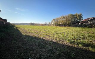 Teren intravilan de vanzare | 12.650 mp | Ghirdoveni, | COMISION 0% - Poză 4