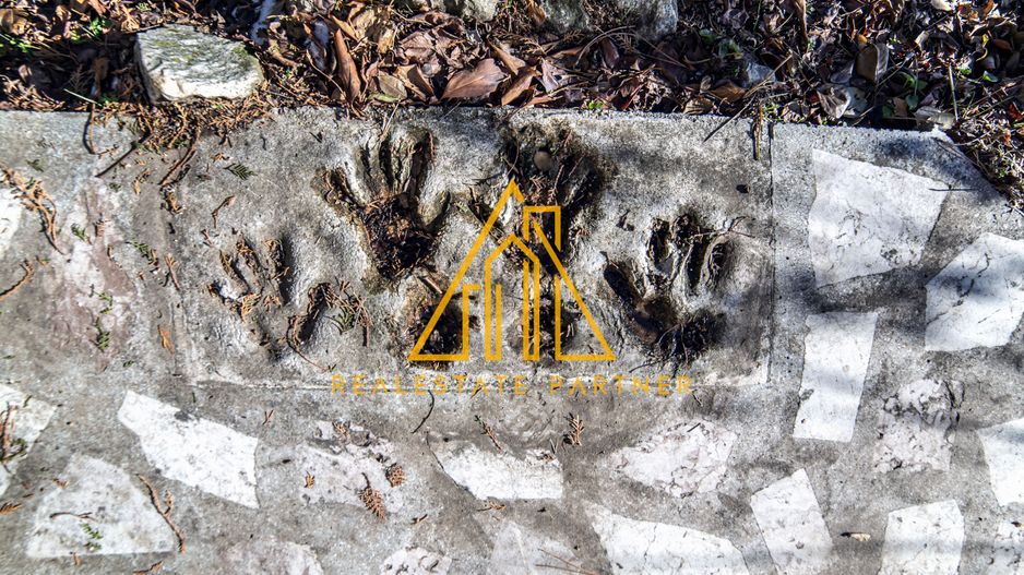 Casa superba, Adunatii Copaceni - Poză 4