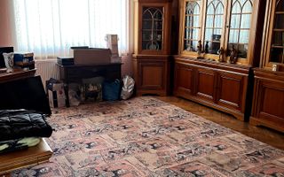 De vanzare sau de inchiriat casa individuala in cart Dambu Pietros - Poză 5