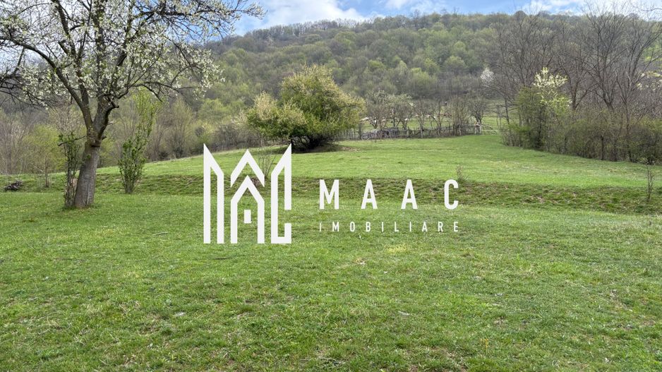 Teren de vânzare, 7750 mp I Orientare sudică I Caineni - Poză 6