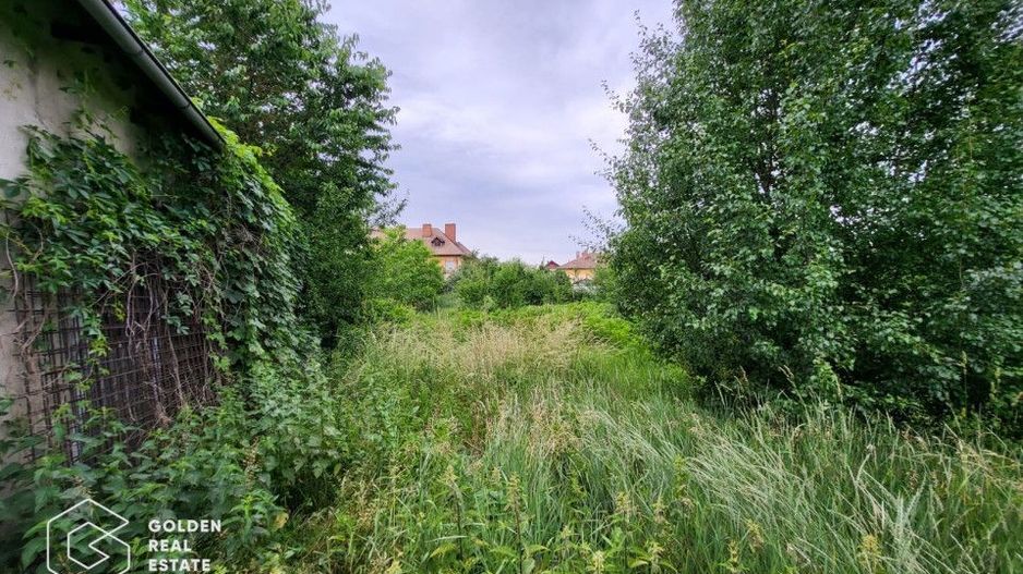 Casa la rosu, teren 7105 mp, Lipova - Poză 5