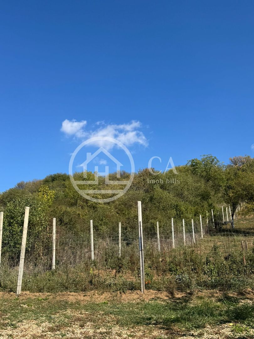 Teren de vânzare in zona de Dealuri, Oradea - Poză 3