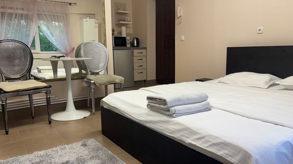 Vand garsoniera ,afacere booking /carpati 2 - Poză 1
