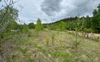 TEREN INTRAVILAN 6680 MP LERESTI ARGES - Poză 4