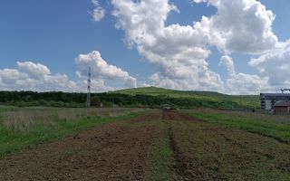 Teren Viisoara 36 ari , zona in plina dezvoltare - Poză 2