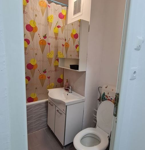 APARTAMENT RECENT RENOVAT ZONA IANCULU - Poză 18