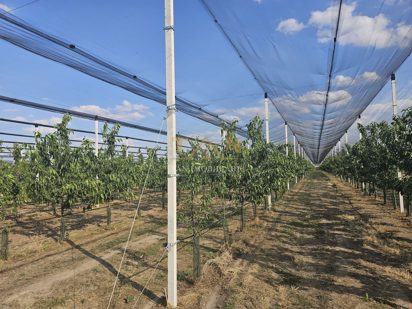 De Vânzare Afacere La Cheie ( ARAD) - Poză 5