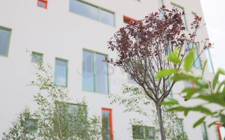 REA1026686 Apartament 2 camere ideal pentru investitie - Finisaje premium - Vede - Poză 14