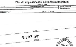 Teren intravilan de vanzare cu o suprafata de 9783 mp in Paleu,Bihor - Poză 1