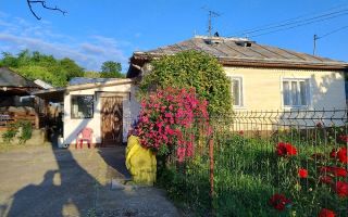 Casă cu teren în Deleni, Iași - Stradă principală - Poză 1