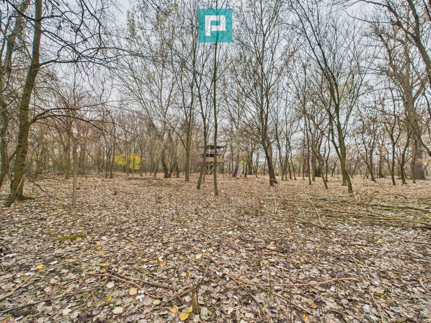 Teren pe malul Muresului- oportunitati multiple - Poză 31