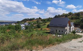 Teren 10.000 mp în Tomesti, zona Vladiceni – oportunitate de investiție - Poză 7