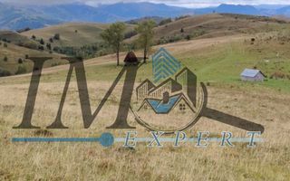 Teren extravilan Transapuseana - Poză 3