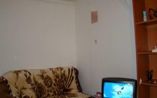 Nicolae Grigorescu - Poză 4