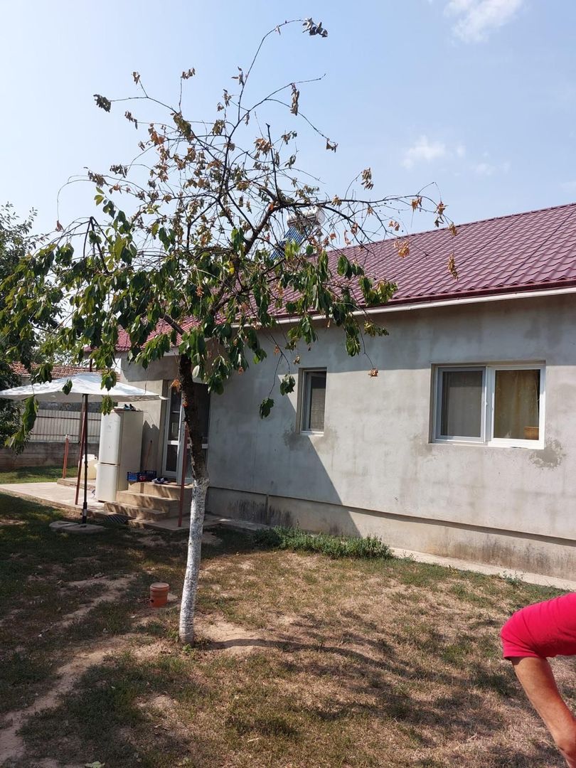 Casa de vanzare Cornățelu Dambovita - Poză 9