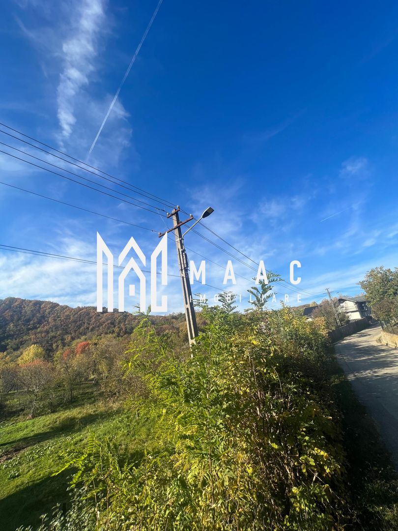 Teren | Vladesti | 1000 MP - Poză 3