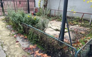 Inchiriere Casa-curte-1 Mai-Expozitiei - Poză 5