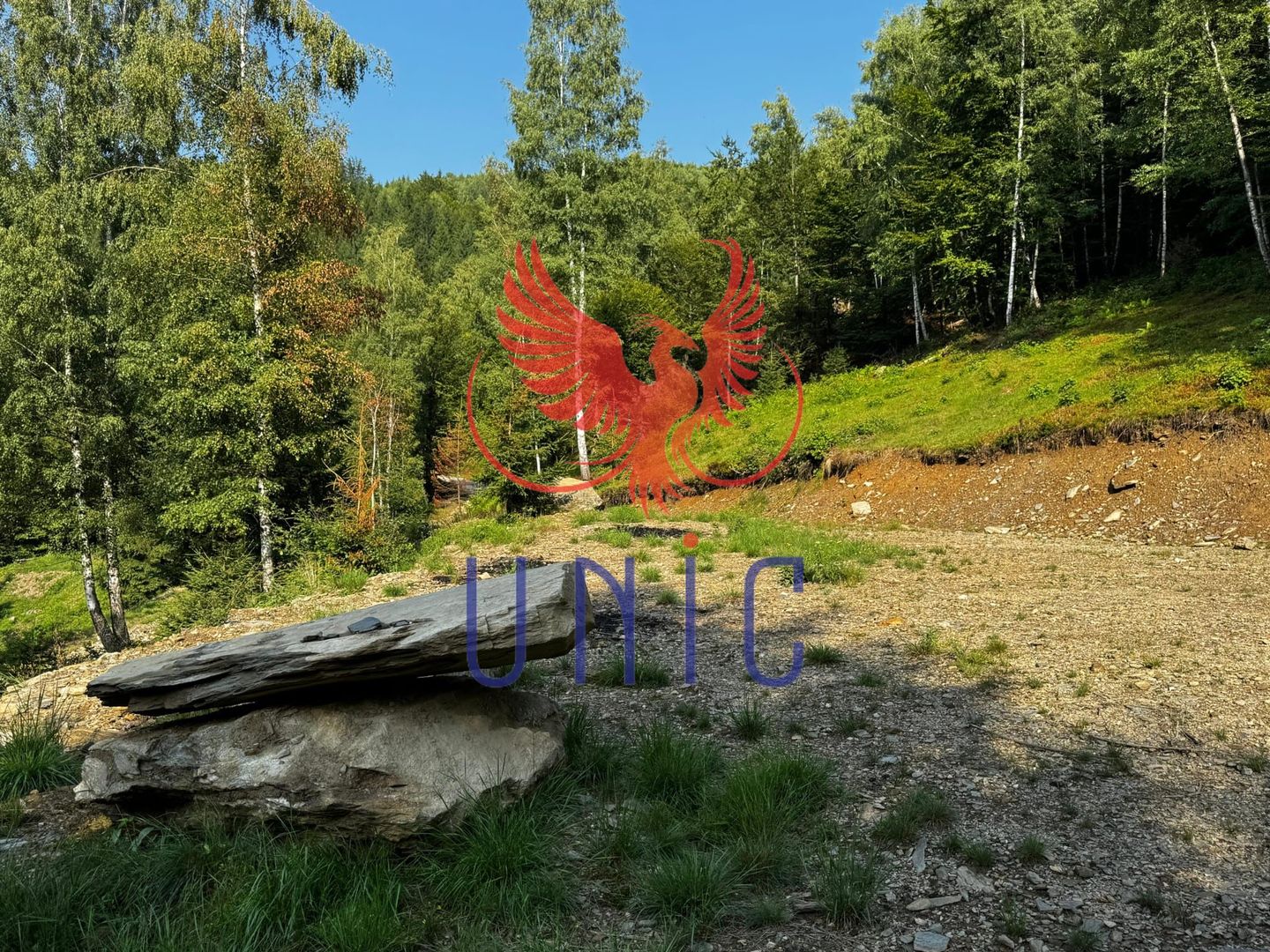 18000 mp de natura pura ,Lupeni, langa Straja - Poză 31