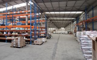 Chirie- Spatiul Industrial/ Depozit-Bragadiru 3000 mp. - Poză 2