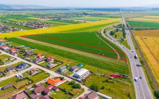 Teren 15.600 mp | Harman, Brasov - Poză 5