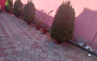 Casa individuala| 3 camere |Acces Auto| Axente Sever | Sibiu - Poză 6