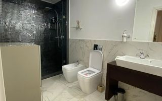 Apartament 2 camere Herastrau - Poză 9