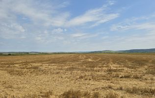 Teren intravilan– 50.000 mp, Bacău, Șoseaua Hol