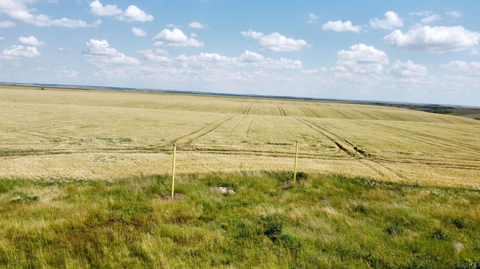 Teren la sosea Ortisoara - Autostrada A1 - Poză 20