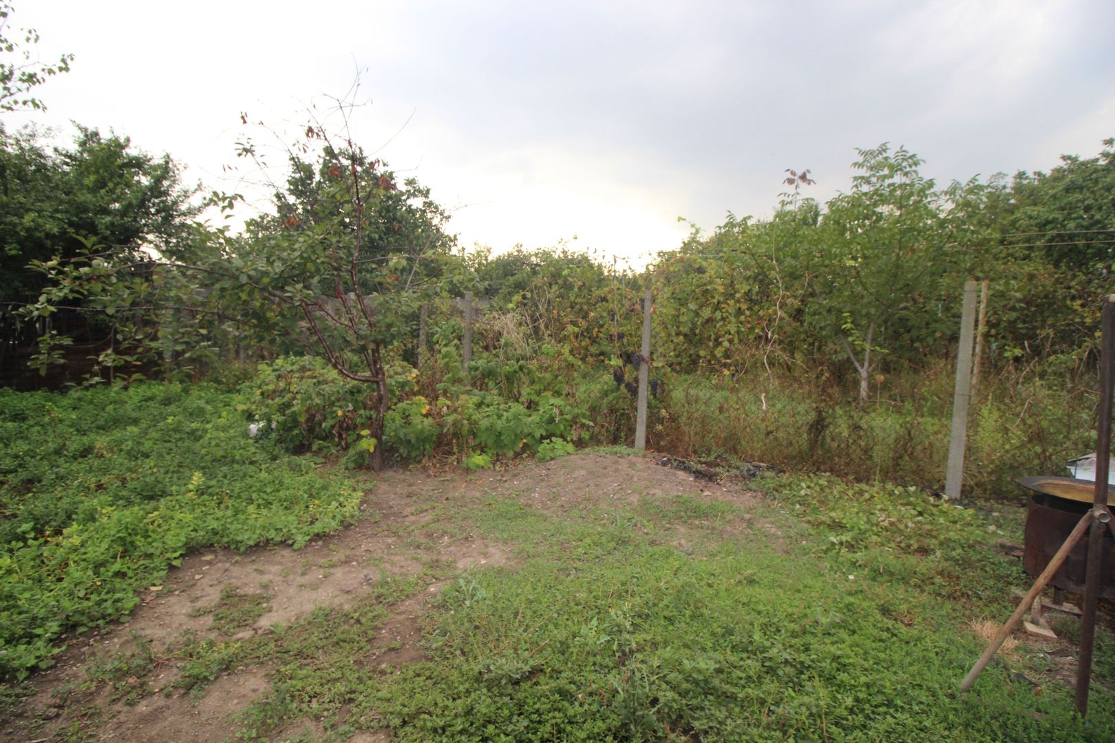 Teren pentru duplex/casa individuala Zona Mehala - Poză 1