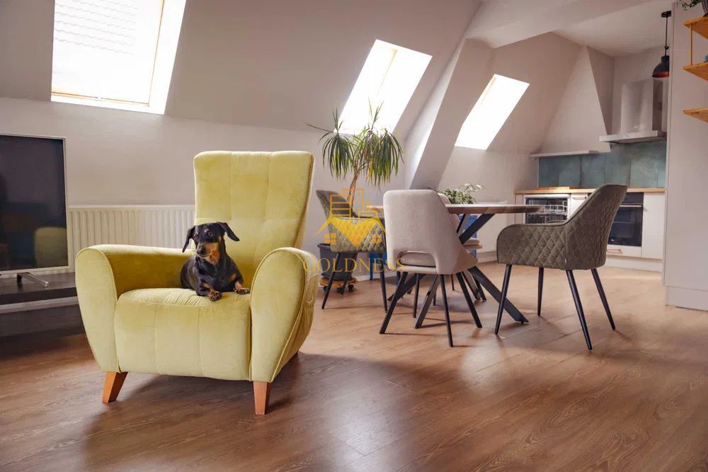 3 camere open space, parcare, Calea Turzii, Europa, Pet Friendly - Poză 2