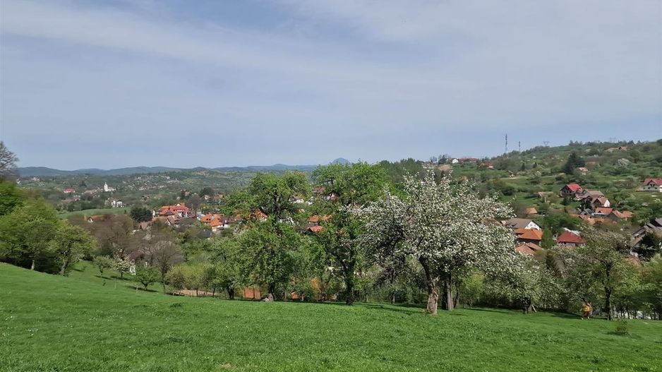Langa emblematicul Castelul Bran, in areal colinar, 5.700mp intravilan - Poză 7