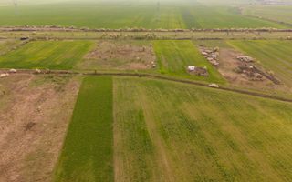 Teren intravilan 6150 mp – Sânleani, jud. Arad - Poză 3